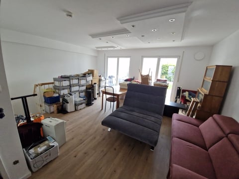 Spacious studio apartment with hardwood floors, gray sofa bed, pink armchair, storage shelves, and bright natural light from glass doors