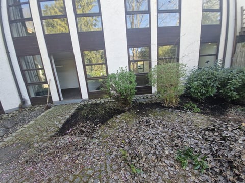 Modern white building with large windows and landscaped garden bed containing shrubs and gravel, surrounded by trees